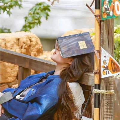 族长老爹的葬礼2：孤注一掷